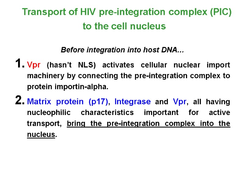 Before integration into host DNA… Vpr (hasn’t NLS) activates cellular nuclear import machinery by